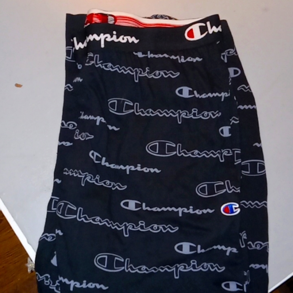 Large champion brand lounge pants for men never worn
